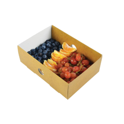 Quarter Insert for Medium and Large Platter - Pack of 50 Quarter Insert for Medium and Large Platter - Pack of 50