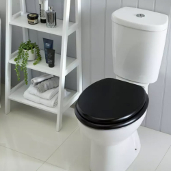 Black Deluxe Plastic Coated MDF Toilet Seat (Lifesize) Black Deluxe Plastic Coated MDF Toilet Seat (Lifesize)