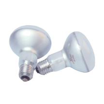 R80 Edison Screw Reflector Lamps - 240W / 60V
