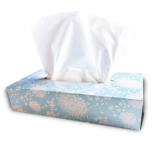 Premium 2ply Facial Tissues - Case of 24 x 100