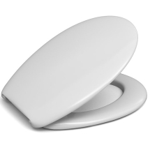 White Plastic Toilet Seat
