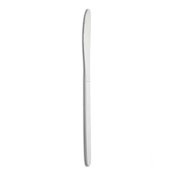 Stainless Steel Knives - Pack of 12