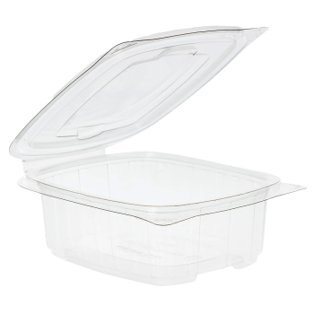 Clear Food Salad Container with Hinged Lid 250cc - Case of 500