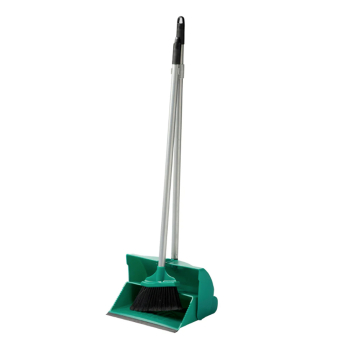 Green Lobby Dustpan & Brush Set (10")