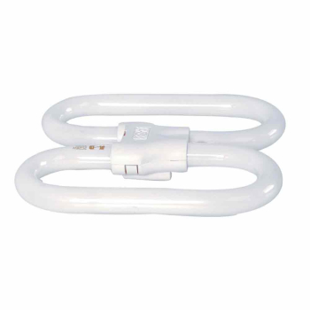 2D 2Pin Compact Fluorescent Lamp - 16W