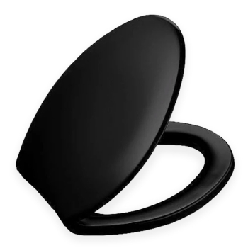Black Plastic Toilet Seat