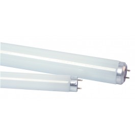 T5 30cm (12") 8w White Fluorescent Tube