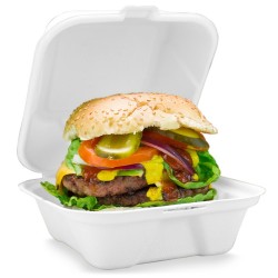Clamshell Bagasse Takeaway Burger Box 6inch 