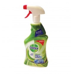 Dettol Mould and Mildew Cleaner