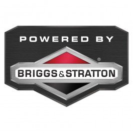 Briggs and Stratton Engines