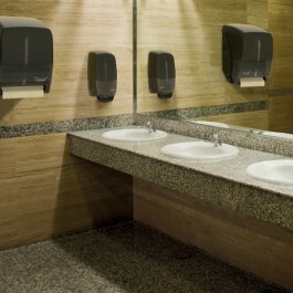 Raphael® washroom setting 