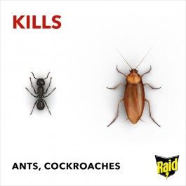 raid ant cockroach killer kills ant and cockroaches
