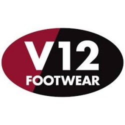 V12 Logo